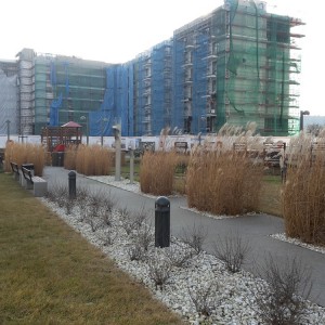 20150116_134756 — kopia